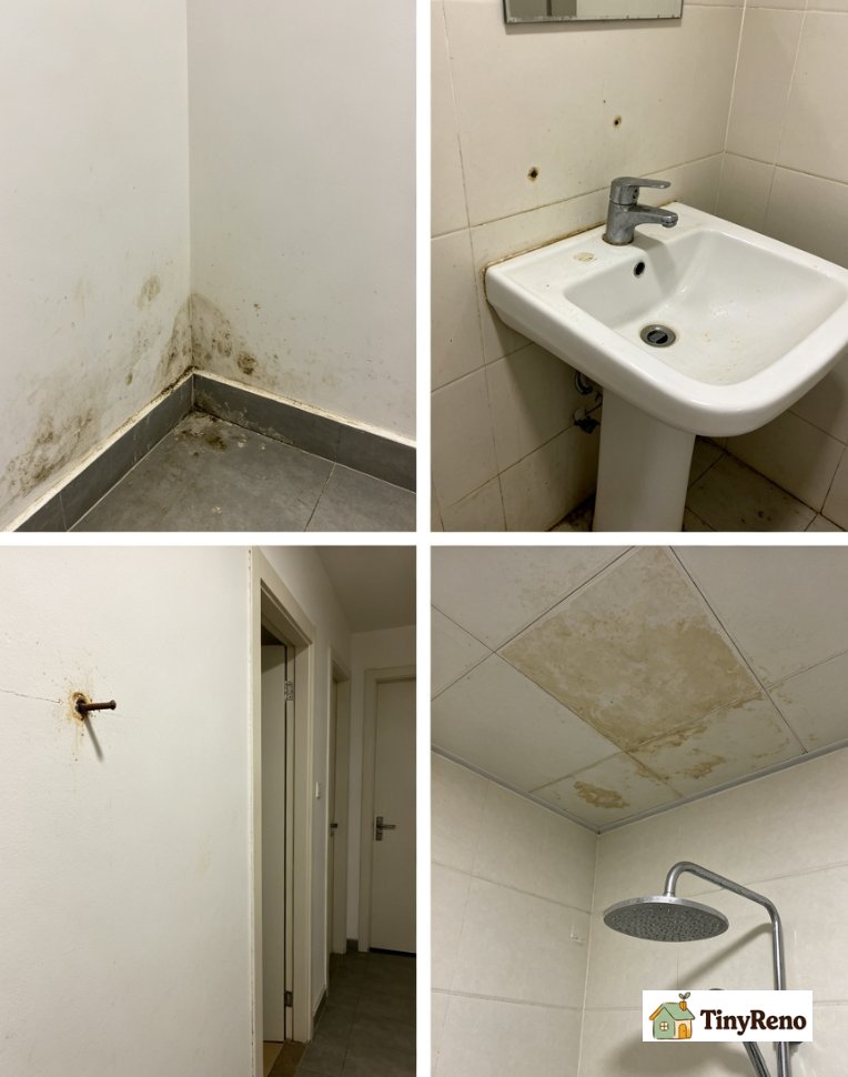 Side by side 4-panel illustration of the four wall scenarios: Daniel&rsquo;s baseboard mold, Marcus&rsquo;s sink mildew, Lila&rsquo;s nail rust spot, Jessica&rsquo;s shower ceiling mildew.